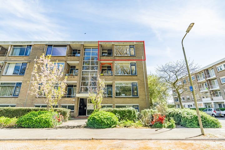 Meeslaan 6 in Delft foto
