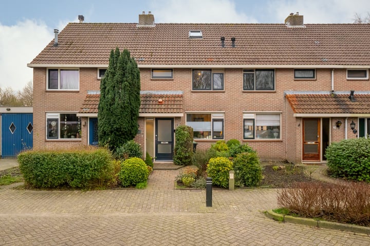 Meibloem 40 in Opmeer foto