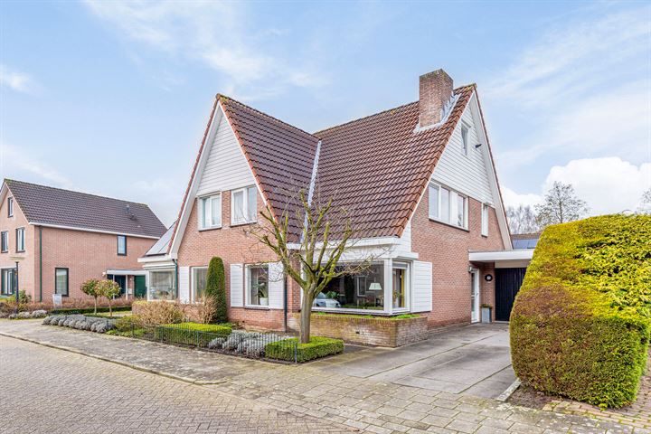 Meibloem 8 in Apeldoorn foto
