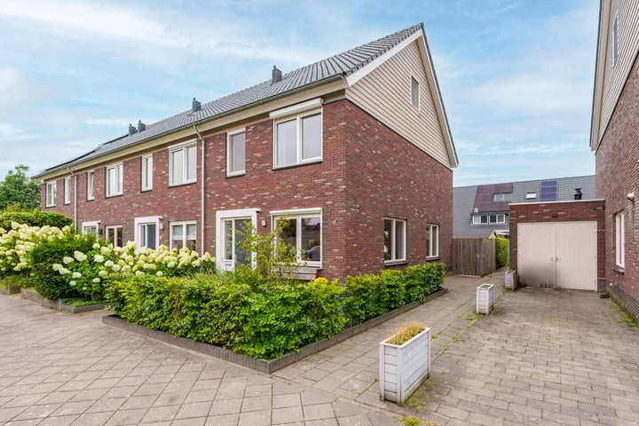 Meidoorn 8 in Woudenberg foto
