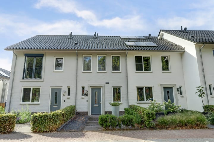 Meiraap 50 in Diessen