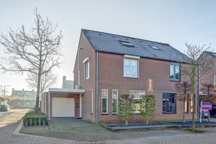 Melde 1 in Udenhout foto
