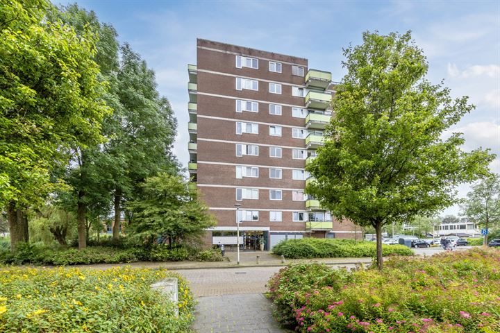 Melde 13 in Uithoorn foto