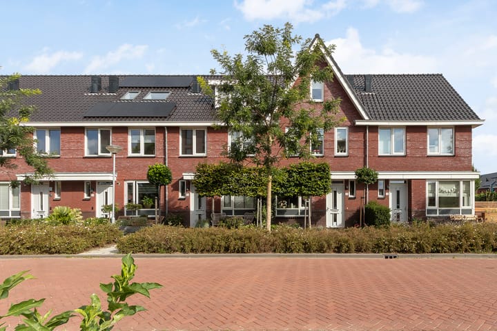 Menagerie 14 in Dordrecht
