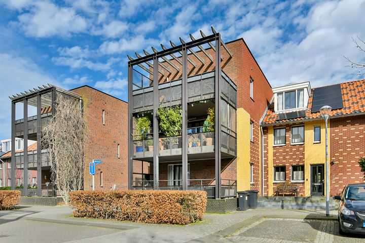 Menuet 5 in Nieuw-Vennep foto