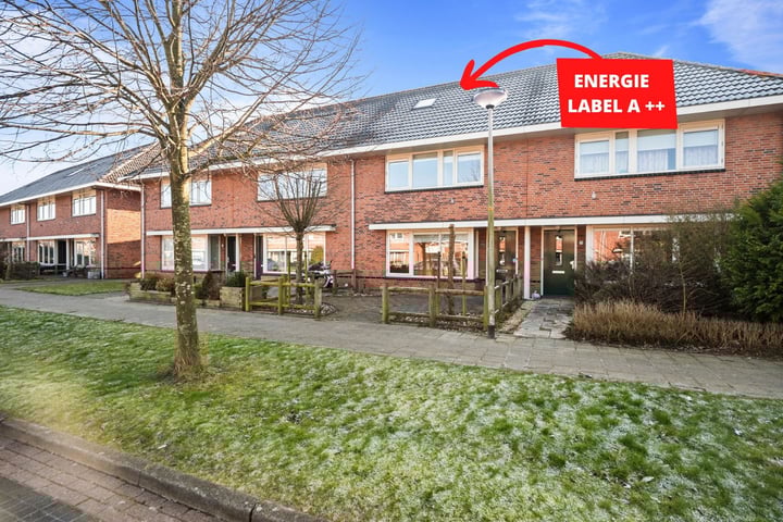 Mering 77 in Hippolytushoef foto