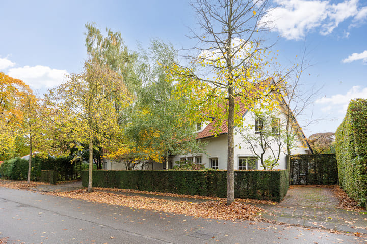 Mgr.Hermuslaan 61 in Sint-Michielsgestel