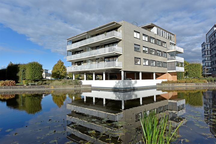 Mien Ruyspark 26 in Oegstgeest foto