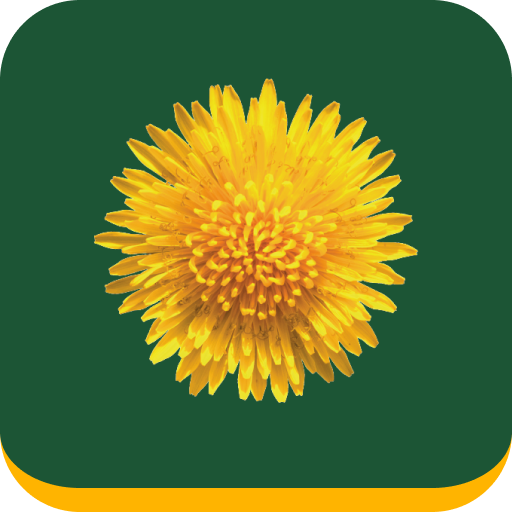 Logo Mijn Buitenplaats Makelaardij