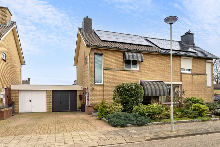 Mispelboom 16 in Holtum foto