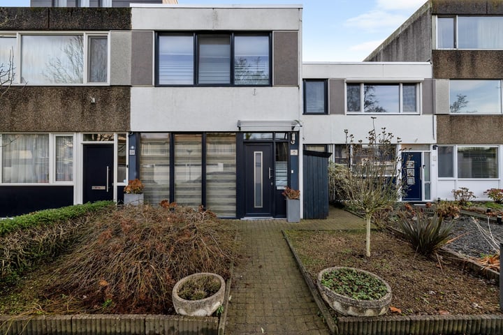 Moggendries 24 in Eindhoven foto