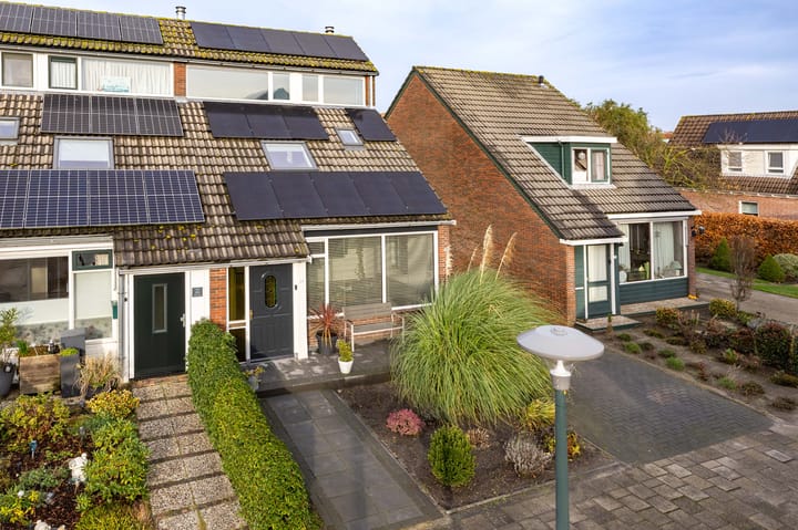 Molefinne 29 in Heeg