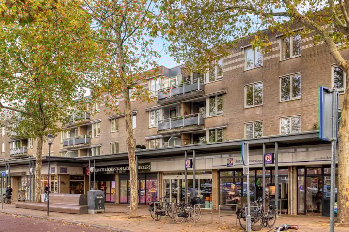 Moleneindplein 306 in Vught