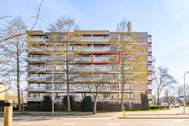 Molengraaffplantsoen 36 in Utrecht foto