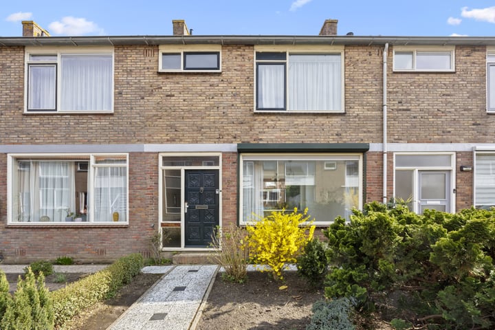 Molenlaan 51 in Maasdam foto