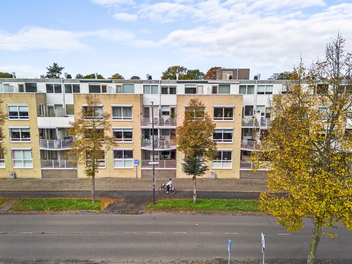 Montaubanstraat 123 in Zeist foto