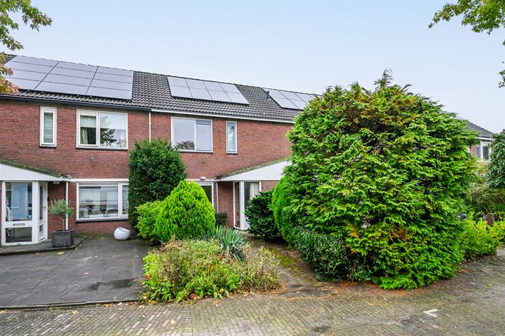 Mos 11 in Huizen foto