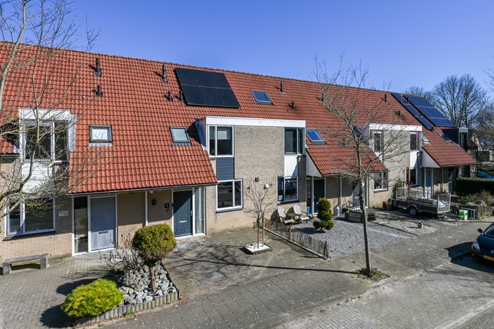 Mosroos 17 in Zeewolde foto