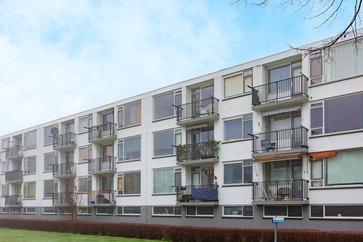Motetpad 9 in Nijmegen foto