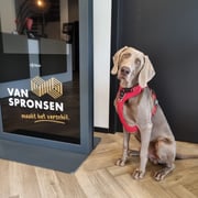 Foto van Mr. Beau