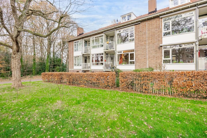 Mr. Th. Heemskerklaan 47A in Amersfoort foto