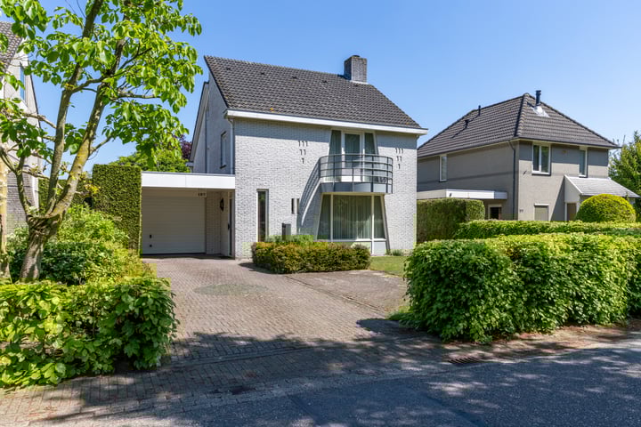 Munsel 197 in Boxtel