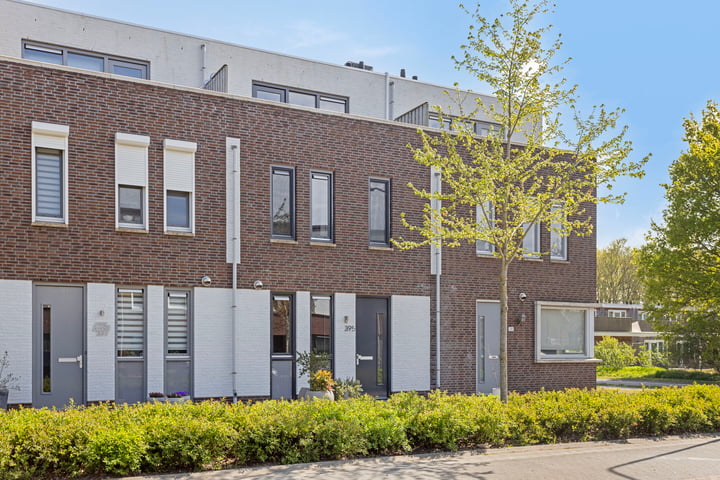 Muntmeester 395 in Uden foto