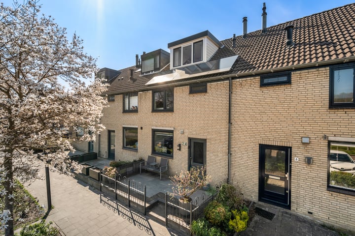 Muskuskruid 3 in Vlaardingen foto