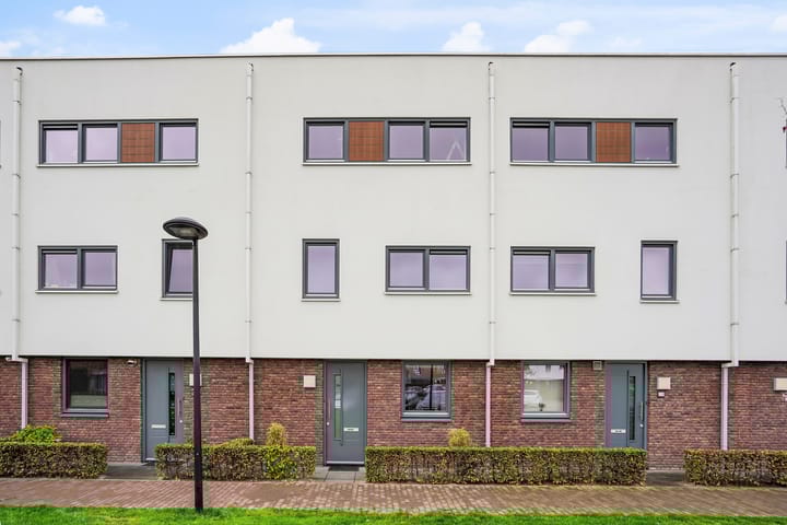 Muurhagedis 29 in Goirle foto