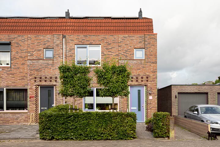 Muurkruid 1 in De Meern foto