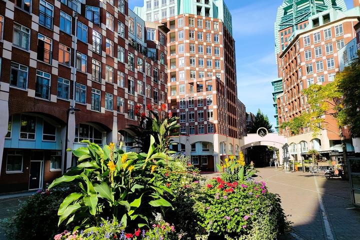 Muzenplein 57 in 's-Gravenhage foto