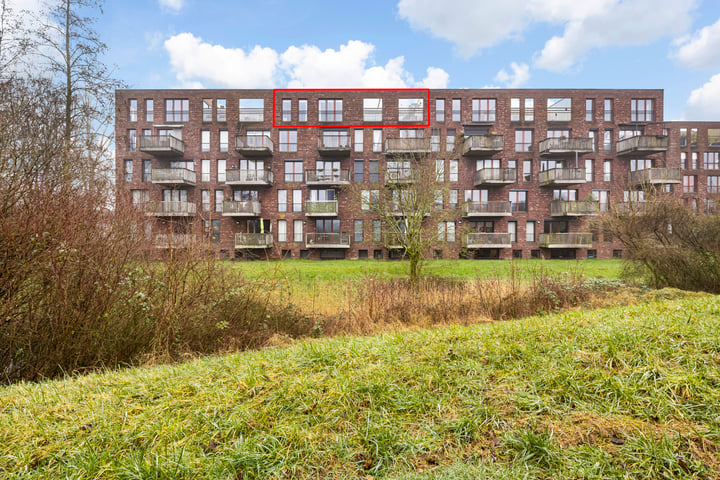 Nachtschade 134 in Arnhem foto