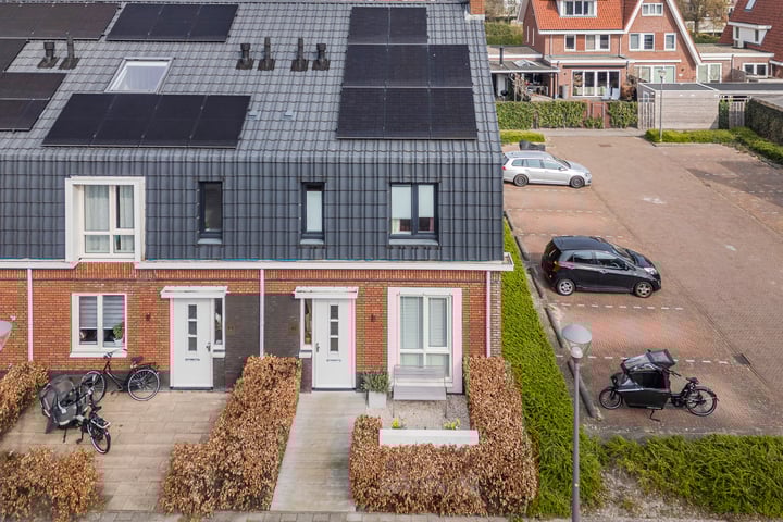 Narcis 47 in Voorhout foto