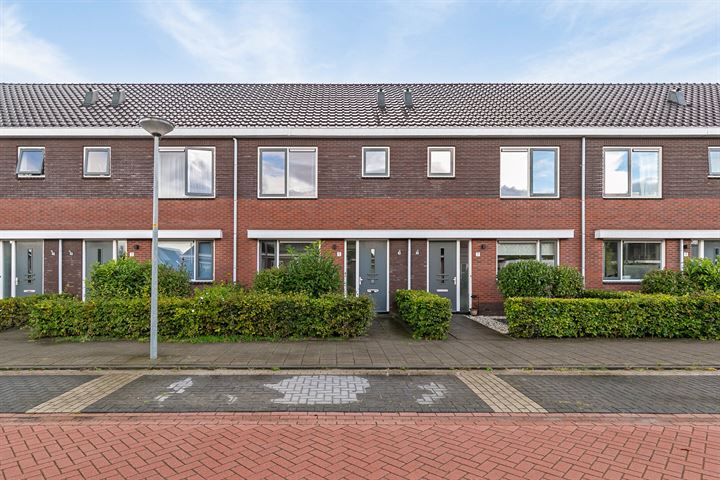Narcis 5 in Andijk foto