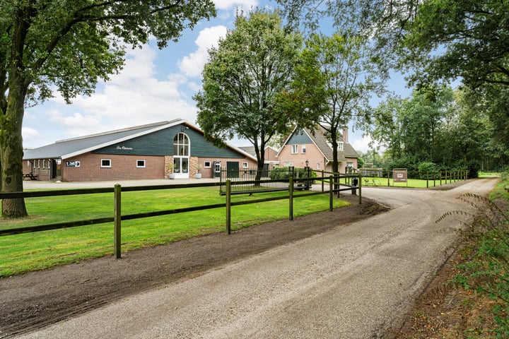 Nederheide 9A in Schijf foto