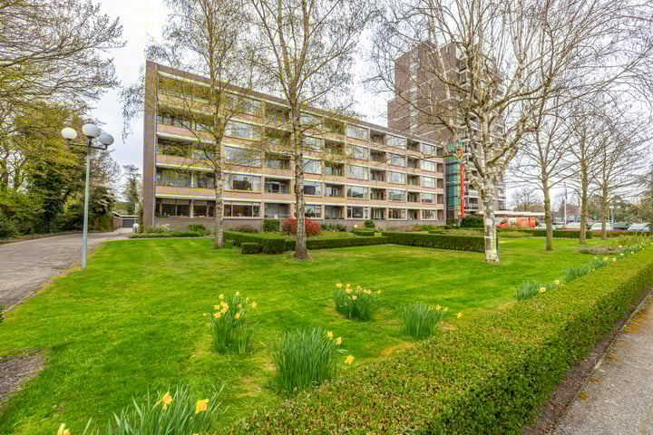 Nesciolaan 81 in Haren Gn