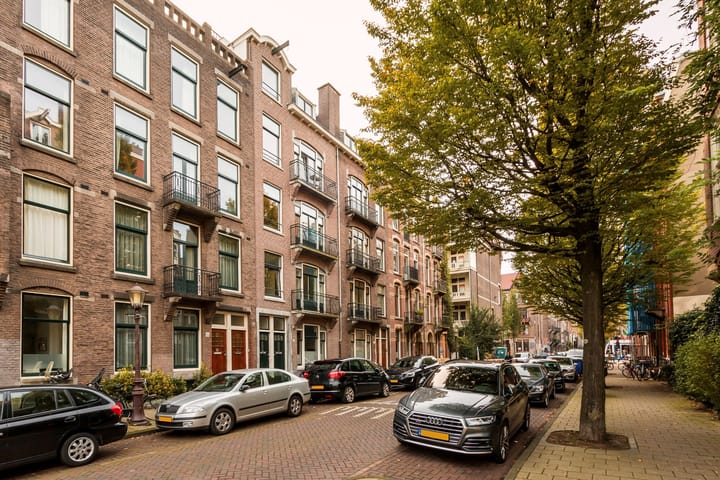 Nicolaas Maesstraat 65-3 in Amsterdam