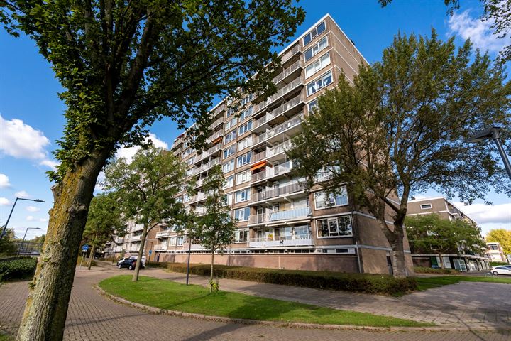 Nieuwe Damlaan 399 in Schiedam foto
