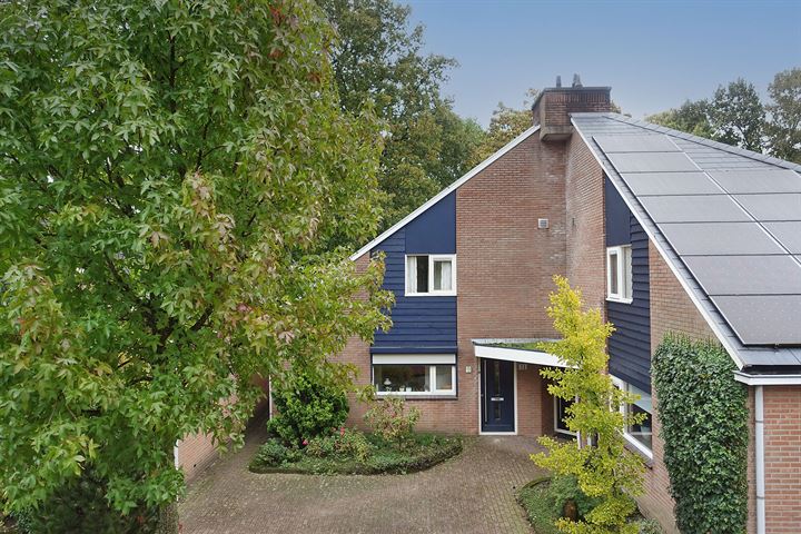 Nieuwe Es 21 in Borne foto