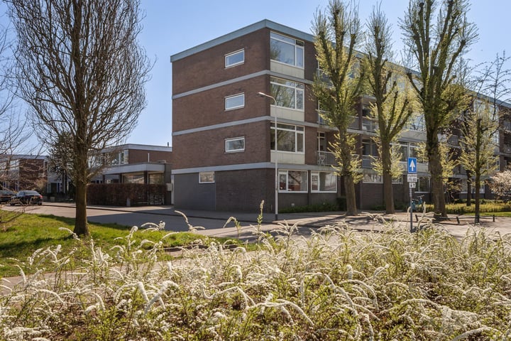 Nieuwe Mollenhutseweg 51 in Nijmegen foto
