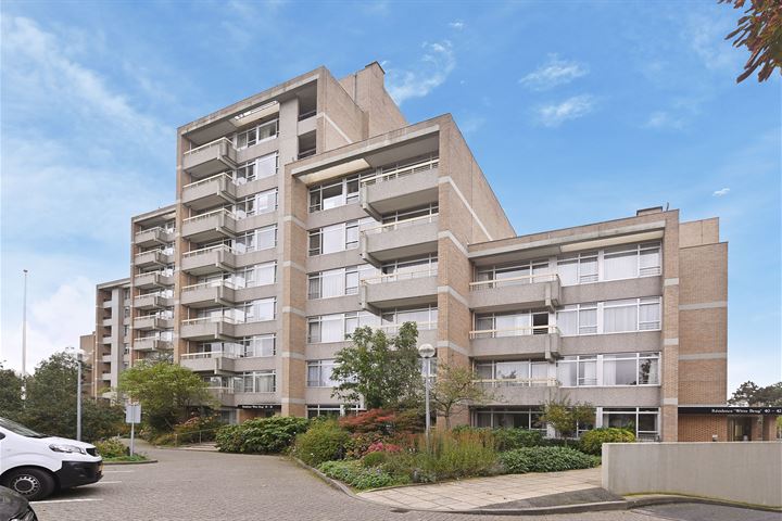 Nieuwe Parklaan 30B in 's-Gravenhage foto