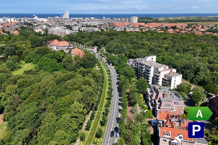 Nieuwe Parklaan 79E in 's-Gravenhage foto