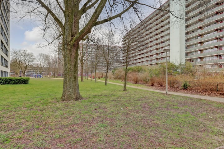 Nieuwendamlaan 274 in 's-Gravenhage foto