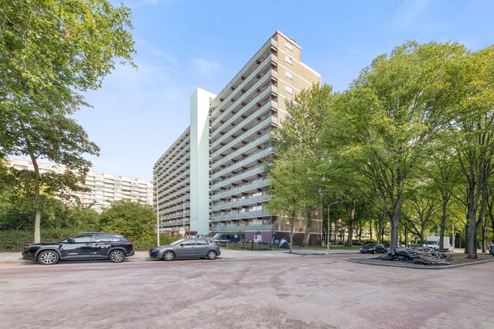 Nieuwendamlaan 52 in 's-Gravenhage