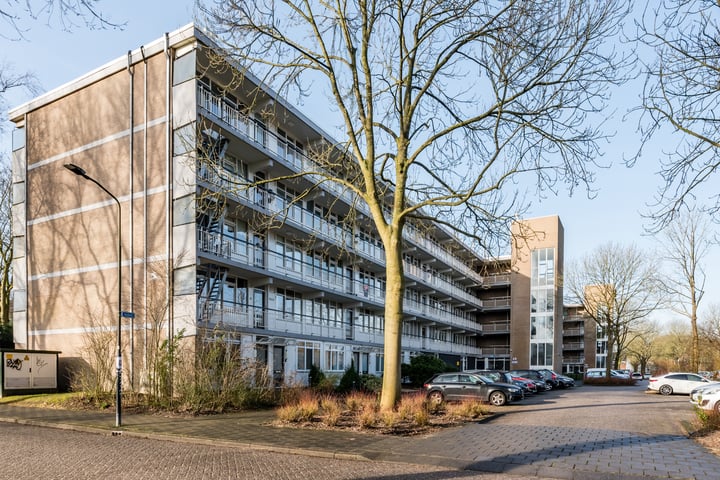 Nobel 58 in Mijdrecht foto