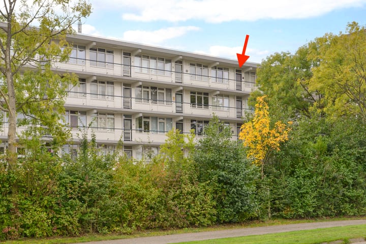 Nobel 80 in Mijdrecht foto