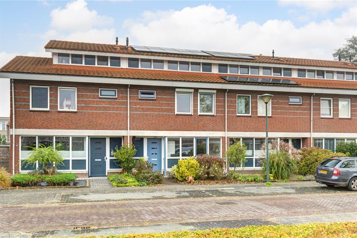 Noorderlicht 7 in Elst foto
