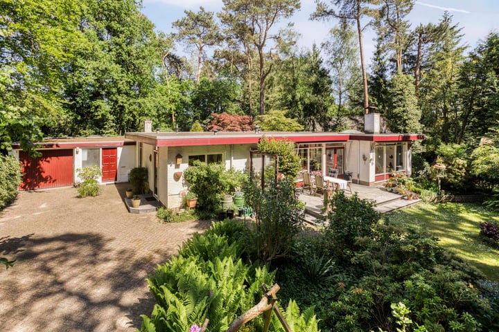 Nuisvelderbos 21 in Harfsen foto
