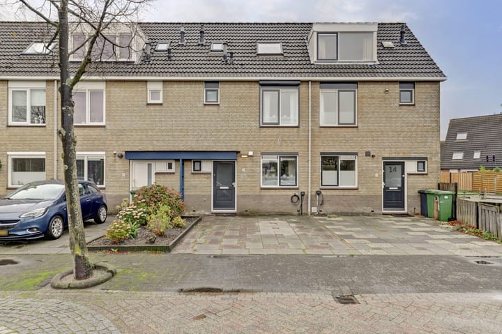 Obrecht 16 in Monster foto