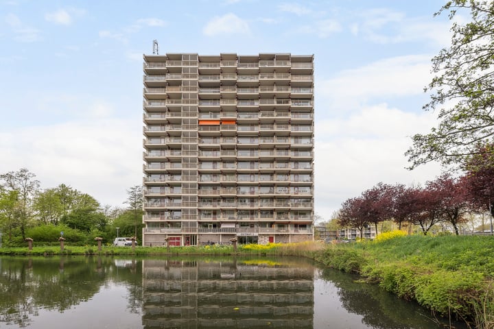 Octant 31 in Dordrecht